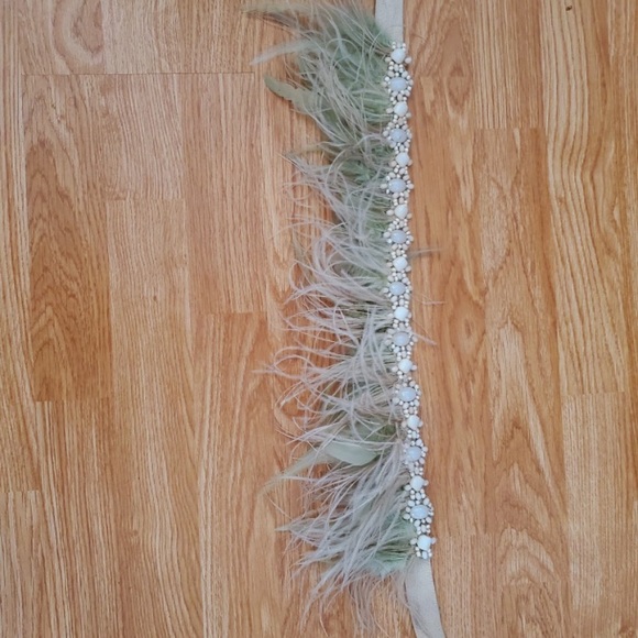 Ostriche feathered belt anthropology - Picture 4 of 4